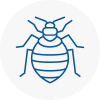 Bed Bug Extermination In Uttlesford