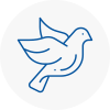 Bird Prevention Uttlesford