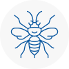 Uttlesford Hornet Nest Removals