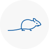 Mice Exterminators In Uttlesford