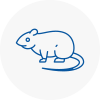 Rat Control Uttlesford