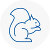 Uttlesford Rodent Removals