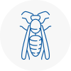 Uttlesford Wasp Nest Removal